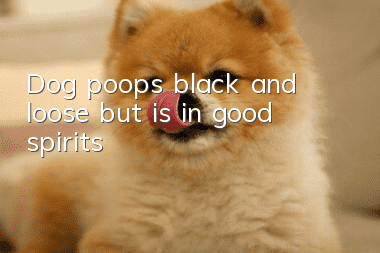 Dog poops black and loose but is in good spirits