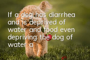 If a dog has diarrhea and is deprived of water and food, even depriving the dog of water and food cannot solve the fundamental problem!