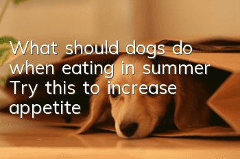What should dogs do when eating in summer? Try this to increase appetite