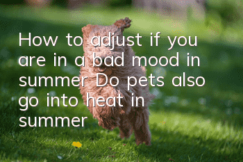 How to adjust if you are in a bad mood in summer? Do pets also go into heat in summer?