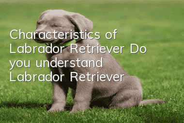 Characteristics of Labrador Retriever Do you understand Labrador Retriever?