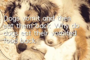 Dogs vomit and then eat them back Why do dogs eat their vomited food back?