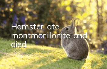 Hamster ate montmorillonite and died