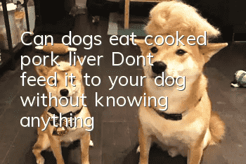 Can dogs eat cooked pork liver? Don’t feed it to your dog without knowing anything!
