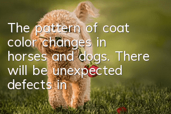 The pattern of coat color changes in horses and dogs. There will be unexpected defects in the changes in the coat color of horses and dogs!