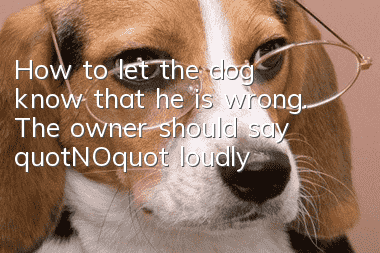 How to let the dog know that he is wrong. The owner should say "NO" loudly!