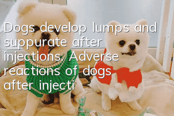 Dogs develop lumps and suppurate after injections. Adverse reactions of dogs after injections