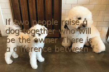 If two people raise a dog together, who will be the owner? There is a difference between family members and owners.