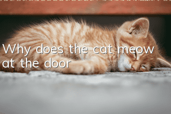 Why does the cat meow at the door?