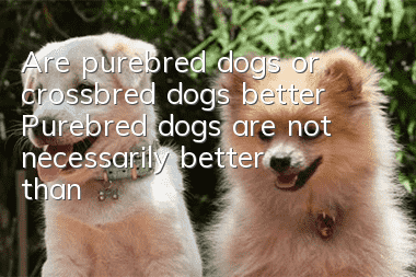 Are purebred dogs or crossbred dogs better? Purebred dogs are not necessarily better than crossbred dogs.