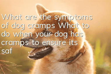 What are the symptoms of dog cramps? What to do when your dog has cramps to ensure its safety