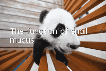 The function of snail mucus