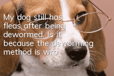 My dog ​​still has fleas after being dewormed. Is it because the deworming method is wrong or something is wrong?