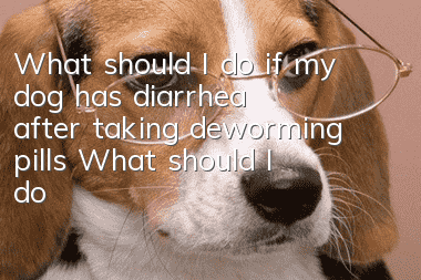 What should I do if my dog ​​has diarrhea after taking deworming pills? What should I do if my dog ​​has diarrhea after taking deworming pills?
