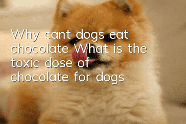 Why can’t dogs eat chocolate? What is the toxic dose of chocolate for dogs?