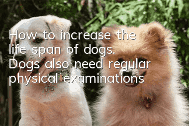 How to increase the life span of dogs. Dogs also need regular physical examinations