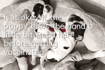 Is it okay if the puppy bites the hand a little bit? Read here before getting vaccinated