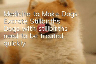 Medicine to Make Dogs Excrete Stillbirths Dogs with stillbirths need to be treated quickly, without delay!