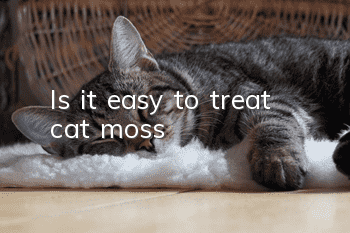 Is it easy to treat cat moss?