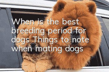 When is the best breeding period for dogs? Things to note when mating dogs
