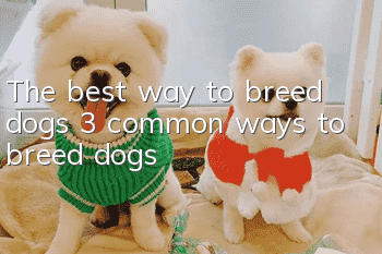 The best way to breed dogs 3 common ways to breed dogs