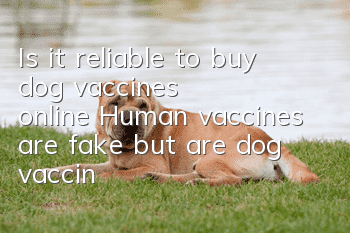 Is it reliable to buy dog vaccines online? Human vaccines are fake, but are dog vaccines safe?