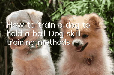 How to train a dog to hold a ball Dog skill training methods