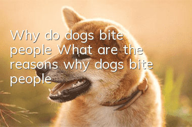 Why do dogs bite people? What are the reasons why dogs bite people?