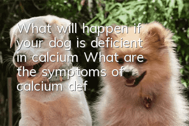 What will happen if your dog is deficient in calcium? What are the symptoms of calcium deficiency in your dog?