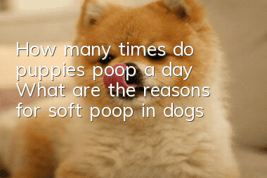 How many times do puppies poop a day? What are the reasons for soft poop in dogs?