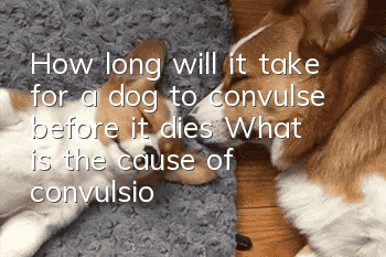 How long will it take for a dog to convulse before it dies? What is the cause of convulsions in dogs?