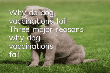 Why do dog vaccinations fail? Three major reasons why dog vaccinations fail