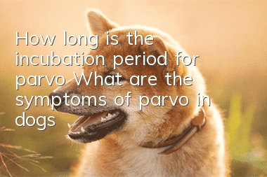 How long is the incubation period for parvo? What are the symptoms of parvo in dogs?