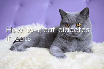 How to treat diabetes in cats?