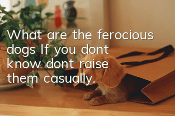 What are the ferocious dogs? If you don’t know, don’t raise them casually.