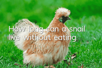 How long can a snail live without eating?
