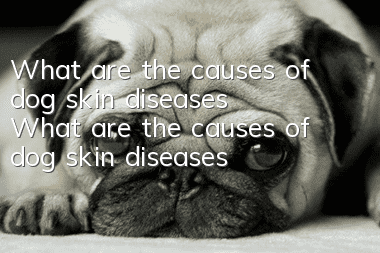 What are the causes of dog skin diseases? What are the causes of dog skin diseases?