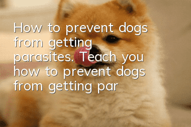 How to prevent dogs from getting parasites. Teach you how to prevent dogs from getting parasites.