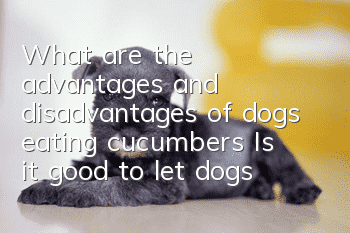 What are the advantages and disadvantages of dogs eating cucumbers? Is it good to let dogs eat cucumbers?