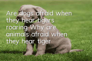 Are dogs afraid when they hear tigers roaring? Why are animals afraid when they hear tigers roaring?