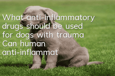What anti-inflammatory drugs should be used for dogs with trauma? Can human anti-inflammatory drugs be used on dogs?