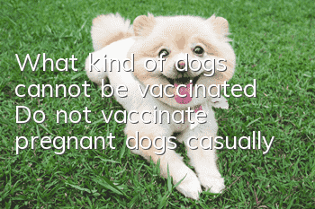 What kind of dogs cannot be vaccinated? Do not vaccinate pregnant dogs casually
