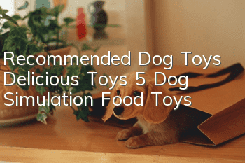Recommended Dog Toys Delicious Toys 5 Dog Simulation Food Toys