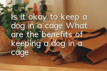 Is it okay to keep a dog in a cage? What are the benefits of keeping a dog in a cage?
