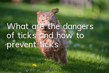 What are the dangers of ticks and how to prevent ticks
