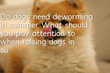 Do dogs need deworming in summer? What should you pay attention to when raising dogs in summer?