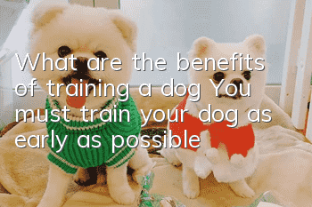 What are the benefits of training a dog? You must train your dog as early as possible