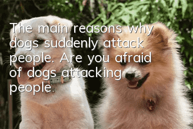 The main reasons why dogs suddenly attack people. Are you afraid of dogs attacking people?