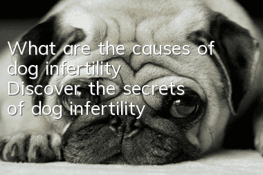 What are the causes of dog infertility? Discover the secrets of dog infertility