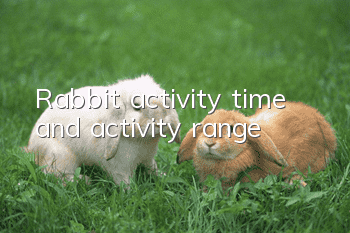 Rabbit activity time and activity range